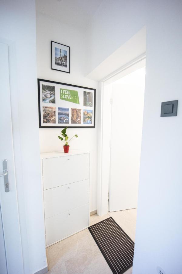 Apartment Mari&Bor Maribor Exterior photo